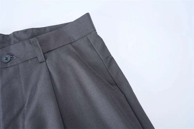 Autumn Men's Loose Suit Pants Commuting Business Casual Classic Gray Black Wide Legs Trousers Oversized Simple Style Clothes