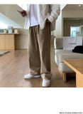 Korean Style High-end Straight-leg Casual Pants Men's Spring Summer Loose Trousers American 2025 New Trendy Wide-leg Pants Chic