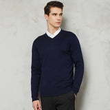 Autumn New Men's Thin Knit Sweater Business Casual V-neck Pullovers Classic Style Comfortable Slim Basic Sweater Male Brand