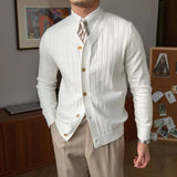 New Spring and Autumn Senior Rascal Handsome V-neck Slim Fit Pit Strip Long Sleeve Casual Solid Men's Sweater Cardigan