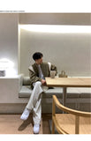 Korean Style High-end Straight-leg Casual Pants Men's Spring Summer Loose Trousers American 2025 New Trendy Wide-leg Pants Chic