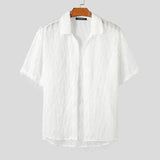 Men Shirt Tassel Chiffon Transparent Lapel Short Sleeve Sexy Men Clothing Summer Streetwear Party Fashion Camisas