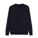 Autumn New Men's Thin Knit Sweater Business Casual V-neck Pullovers Classic Style Comfortable Slim Basic Sweater Male Brand