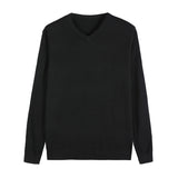 Autumn New Men's Thin Knit Sweater Business Casual V-neck Pullovers Classic Style Comfortable Slim Basic Sweater Male Brand