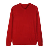 Autumn New Men's Thin Knit Sweater Business Casual V-neck Pullovers Classic Style Comfortable Slim Basic Sweater Male Brand