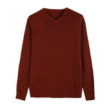 Autumn New Men's Thin Knit Sweater Business Casual V-neck Pullovers Classic Style Comfortable Slim Basic Sweater Male Brand
