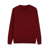 Autumn New Men's Thin Knit Sweater Business Casual V-neck Pullovers Classic Style Comfortable Slim Basic Sweater Male Brand