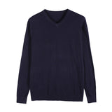 Autumn New Men's Thin Knit Sweater Business Casual V-neck Pullovers Classic Style Comfortable Slim Basic Sweater Male Brand