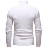 Men's Turtleneck Striped Sweater Knit Multicolor