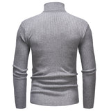 Men's Turtleneck Striped Sweater Knit Multicolor