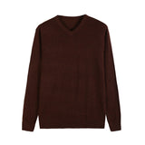 Autumn New Men's Thin Knit Sweater Business Casual V-neck Pullovers Classic Style Comfortable Slim Basic Sweater Male Brand
