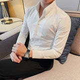 Men Spring and Autumn High Quality Business Dress Shirts/Male Slim Fit Luxury Dress Shirt Male Formal Button-Down Collar Shirt