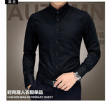 Plus Size 5XL  Men's Luxury Shirts Wedding Dress Long Sleeve Shirt Silk Tuxedo Shirt Men Mercerized Cotton Shirt