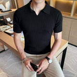 British Style Men's Summer Casual Short Sleeves Polo Shirts/Male Slim Fit High Quality Stripe Knitted V-neck Polo Shirts